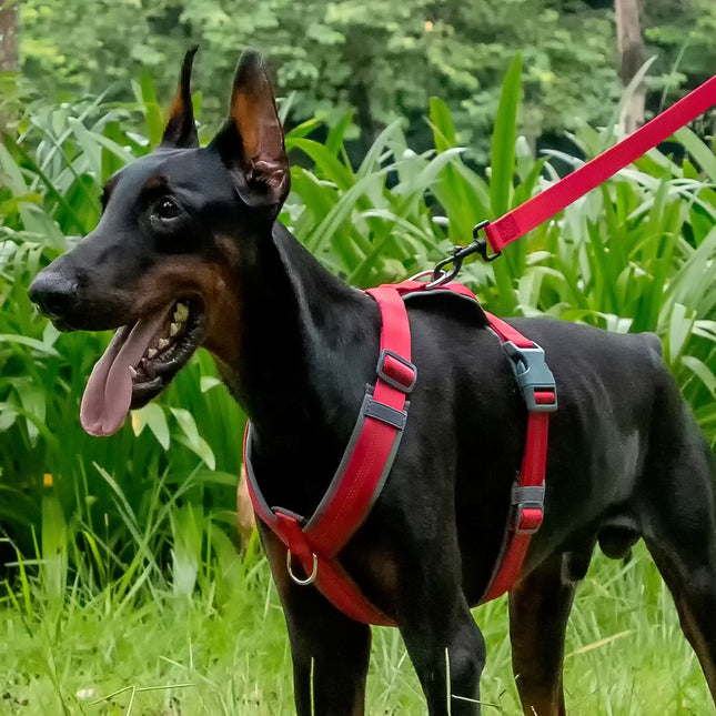 Arnés Antitirones Ajustable Para Perros