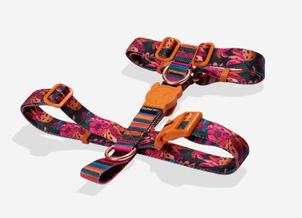 Arnés H Zeedog Selva