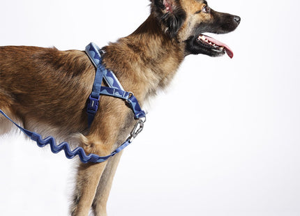 Arnés Anti tiro Zeedog Swell