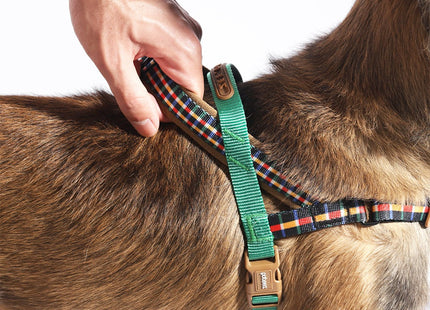 Arnés Anti tiro Zeedog Travis