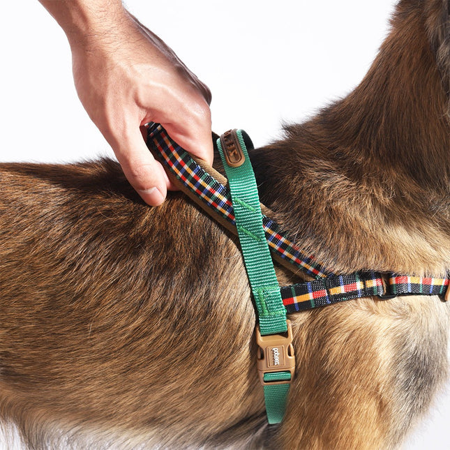 Arnés Anti tiro Zeedog Travis