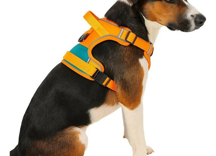 Arnés Reflectante Ajustable para Perros + Correa