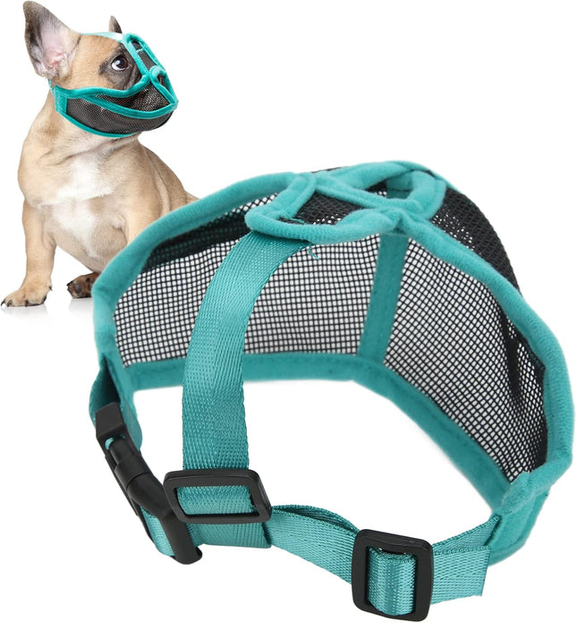 Bozal Perro Braquicéfalos