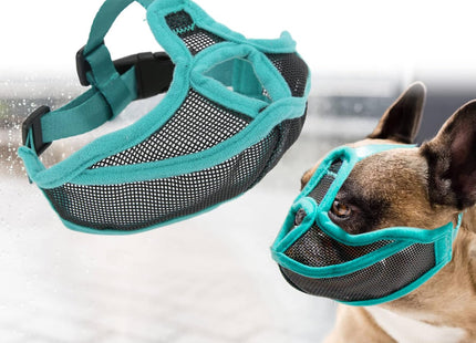Bozal Perro Braquicéfalos