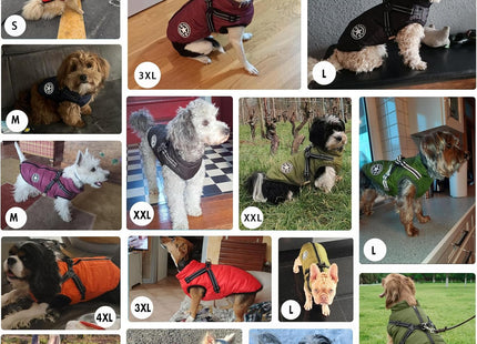 Abrigo para Perros con Arnés Integrado 🐶🧥