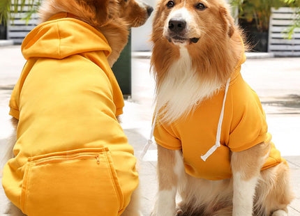 Buzo / Hoodie para Perros 🐶🧥 | Cómodo, Abrigado y con Capucha