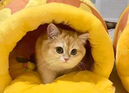 Cama Para Mascotas Con Diseño De Tarro De Miel