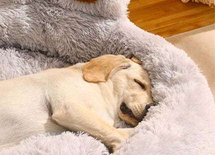Cama para Perros y Gatos con Forma de Huella