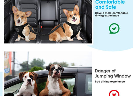 Cinturón de Seguridad Doble para Perros