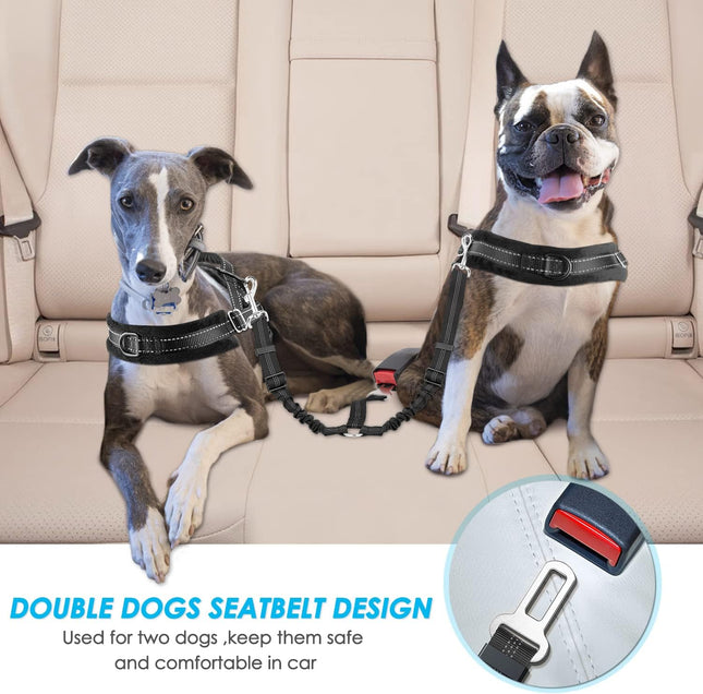 Cinturón de Seguridad Doble para Perros