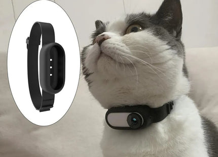 Collar con Cámara HD 1080P para Mascotas