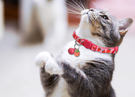 Collar para Gato con Cascabel 🐱🔔 | Ajustable y Colorido