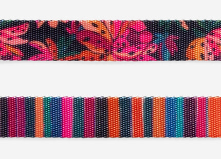 Collar para gato Zeecat Selva