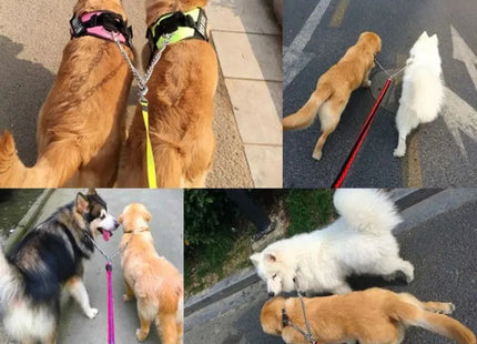 Correa Doble de Cadena para Perros – Alta Resistencia