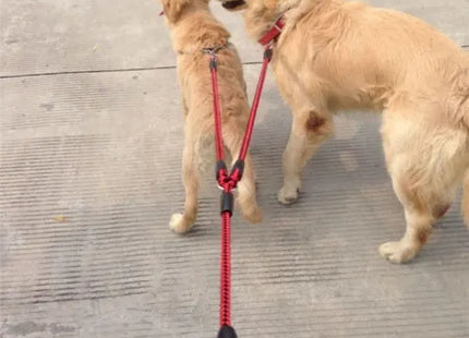 Correa Doble para Perros 2 en 1 – Nylon Reforzado 🐕🐕