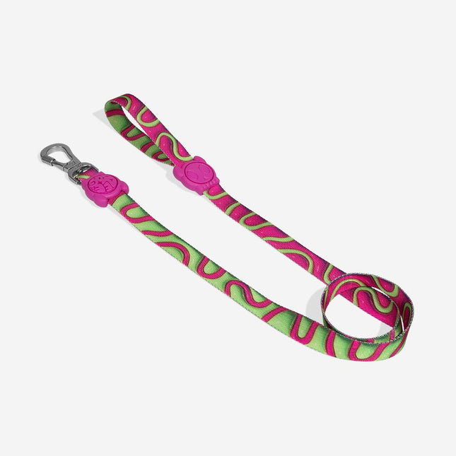 Correa Zeedog H3d Jelly