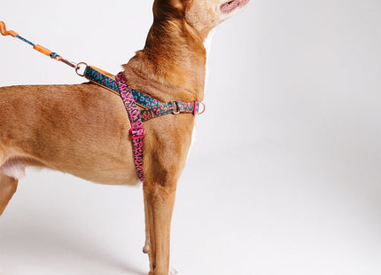 Arnés Anti tiro Zeedog Selva