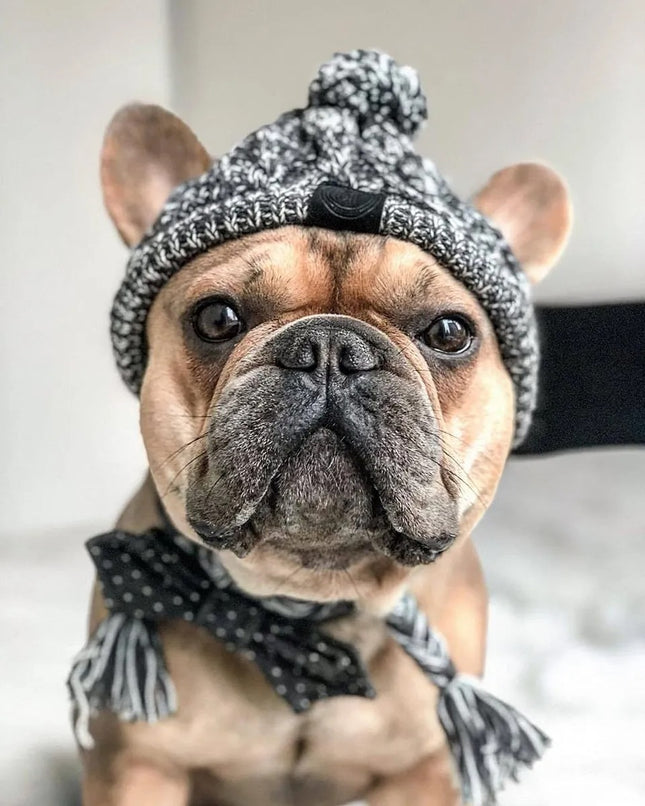 Gorro de Invierno para Perros 🐶🧶 | Tejido, Abrigado y Ajustable