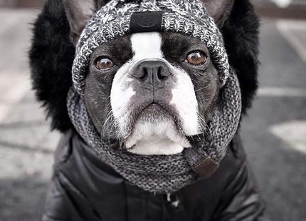 Gorro de Invierno para Perros 🐶🧶 | Tejido, Abrigado y Ajustable