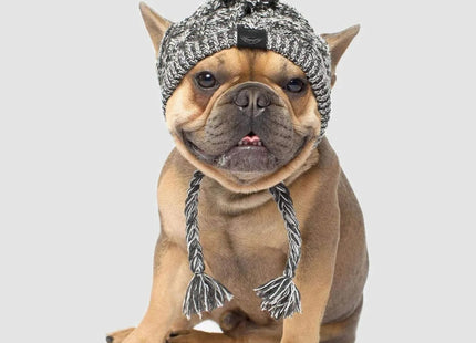 Gorro de Invierno para Perros 🐶🧶 | Tejido, Abrigado y Ajustable