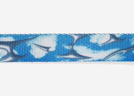Collar para gato Zeecat Fly