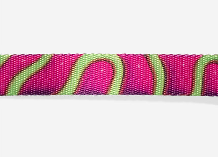 Collar para gato Zeecat Jelly
