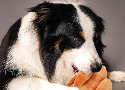 Juguete para Perros Peluche Pavo 🦃🐶 | Con Sonido y Súper Suave