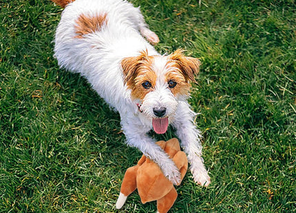 Juguete para Perros Peluche Pavo 🦃🐶 | Con Sonido y Súper Suave
