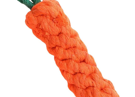 Juguete para Perros en Forma de Zanahoria 🥕🐶