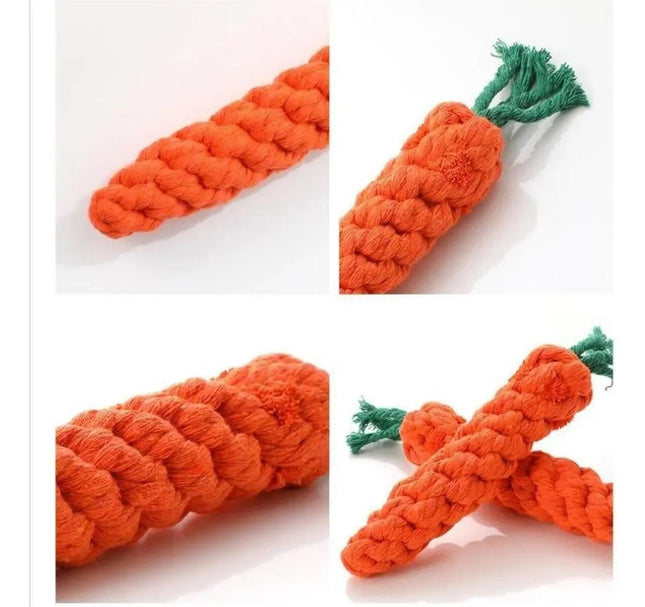 Juguete para Perros en Forma de Zanahoria 🥕🐶