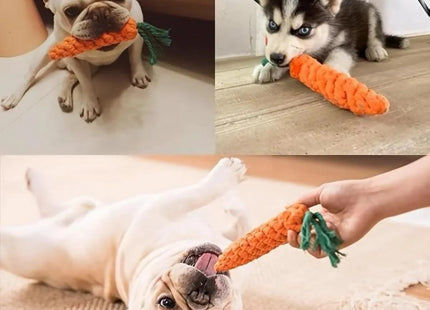 Juguete para Perros en Forma de Zanahoria 🥕🐶