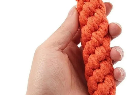 Juguete para Perros en Forma de Zanahoria 🥕🐶