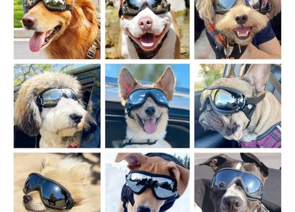 Gafas de Protección para Perros 🐶🕶️