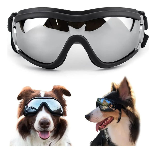 Gafas de Protección para Perros 🐶🕶️