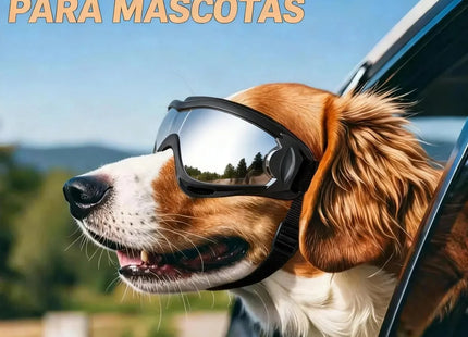 Gafas de Protección para Perros 🐶🕶️