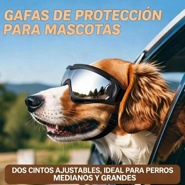 Gafas de Protección para Perros 🐶🕶️