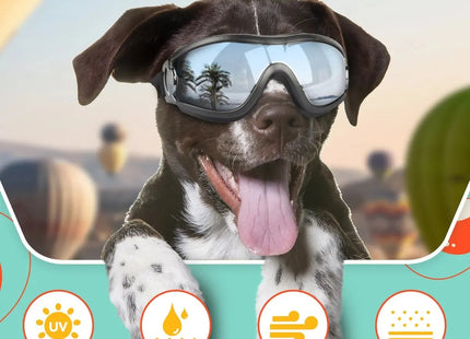 Gafas de Protección para Perros 🐶🕶️