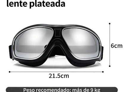 Gafas de Protección para Perros 🐶🕶️