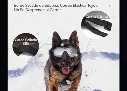 Gafas de Protección para Perros 🐶🕶️