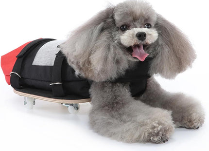 Carrito de Movilidad para Perros 🐶🛞