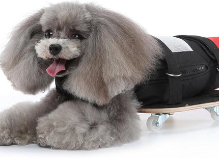 Carrito de Movilidad para Perros 🐶🛞