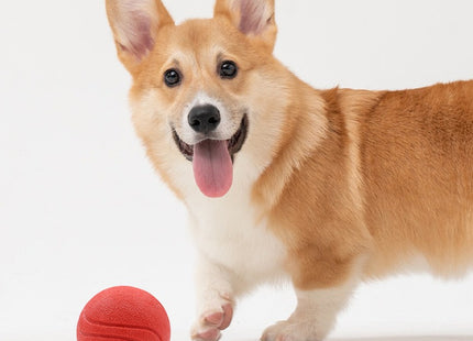 Pelota Interactiva para Perros 🐶⚽