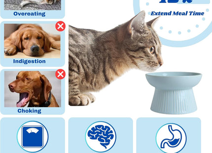 Comedero Antiansiedad Elevado para Perros y Gatos 🐶🐱
