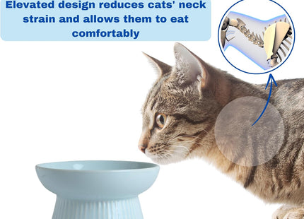 Comedero Antiansiedad Elevado para Perros y Gatos 🐶🐱