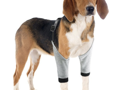 Protector De Articulaciones Para Mascotas
