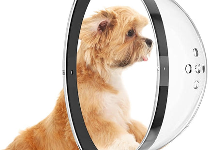 Ventana Cúpula para Perros y Mascotas