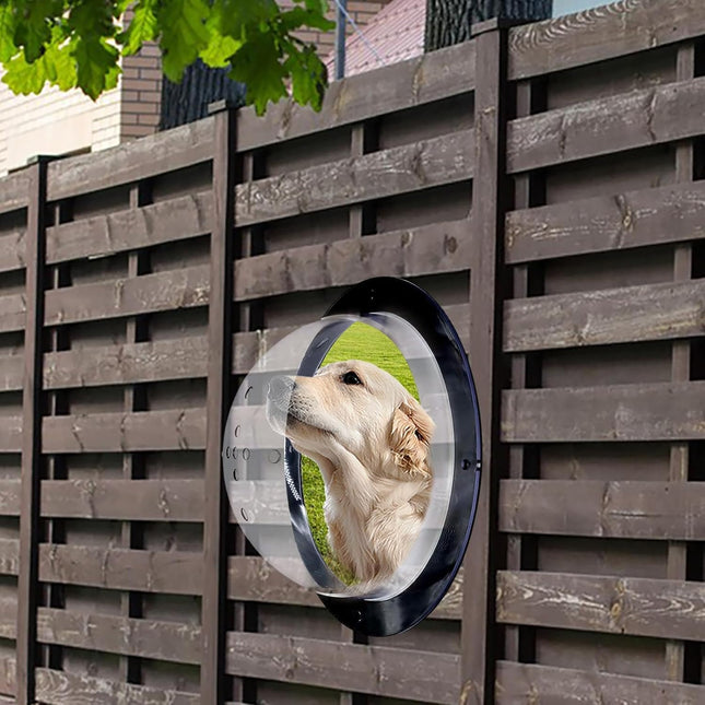 Ventana Cúpula para Perros y Mascotas