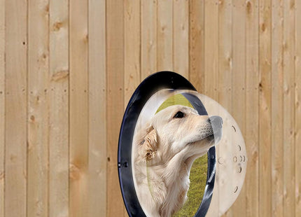 Ventana Cúpula para Perros y Mascotas