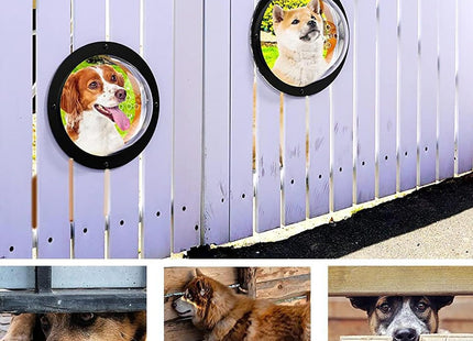 Ventana Cúpula para Perros y Mascotas